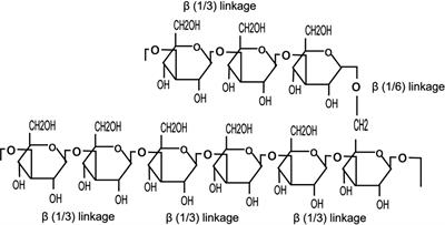 β-Glucan: Mode of Action and Its Uses in Fish Immunomodulation